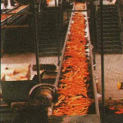 Manufacturers Exporters and Wholesale Suppliers of Conveyor Belts Mumbai Maharashtra